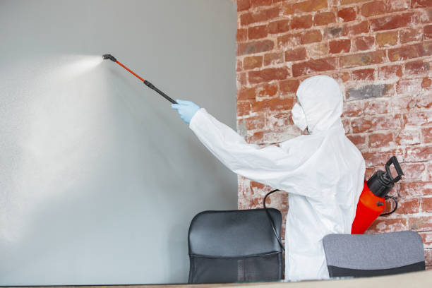 Best Attic Mold Removal  in Peralta, NM