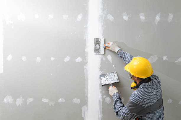 Best Emergency Mold Remediation  in Peralta, NM