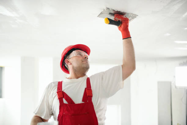 Best Post-Remediation Verification Testing  in Peralta, NM